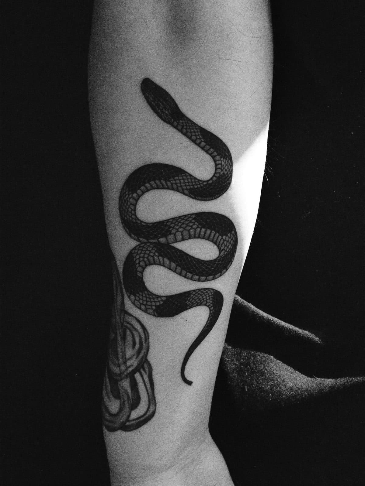 Black and grey snake wrapping the forearm