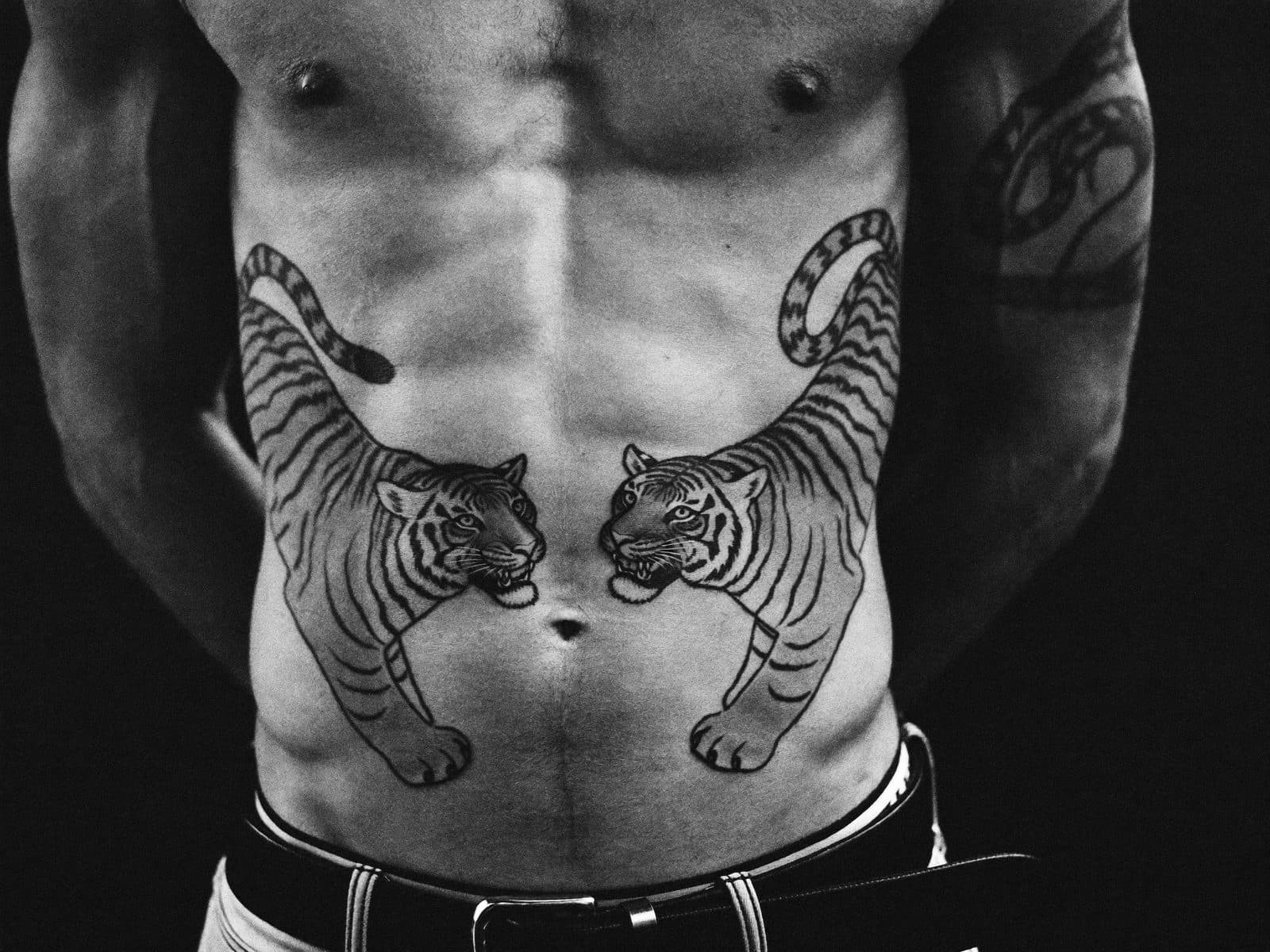 Two tigers across the stomach
